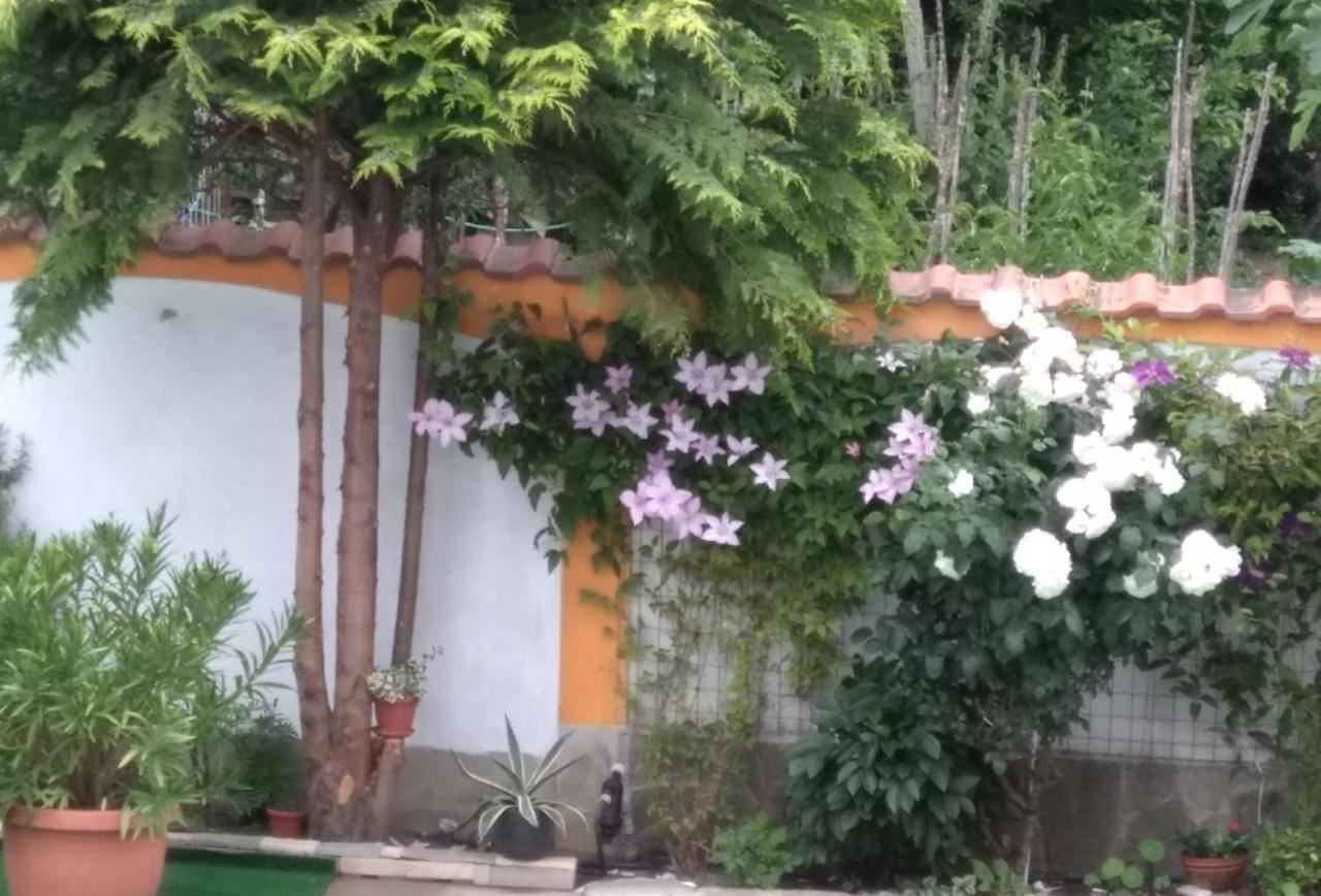 Vila Rosen Лозенец Экстерьер фото